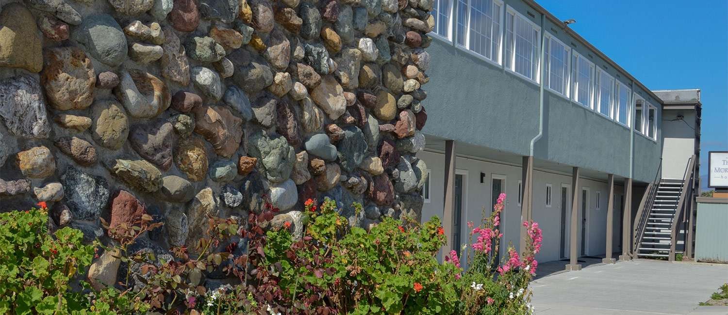 CHECK OUT THE LIFESTYLE AMENITIES AND SERVICES  AT OUR SAN SIMEON MOTEL